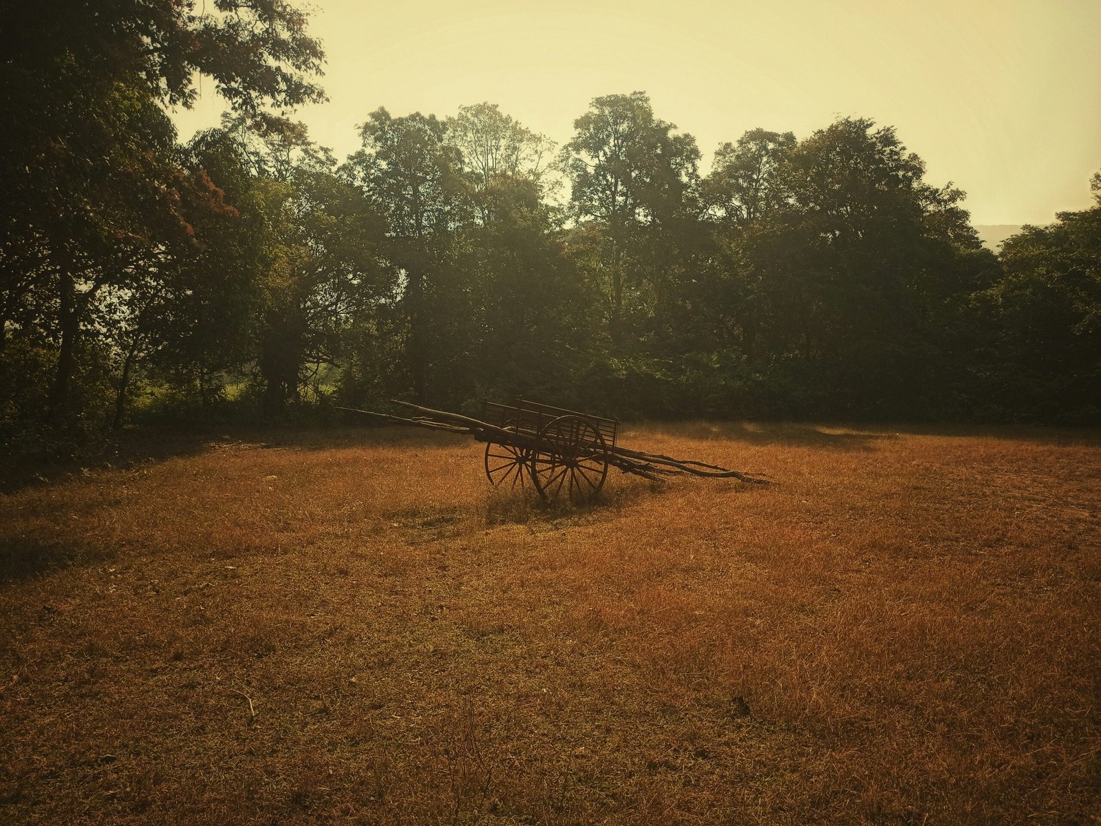 a wooden wagon in a field with trees in the background