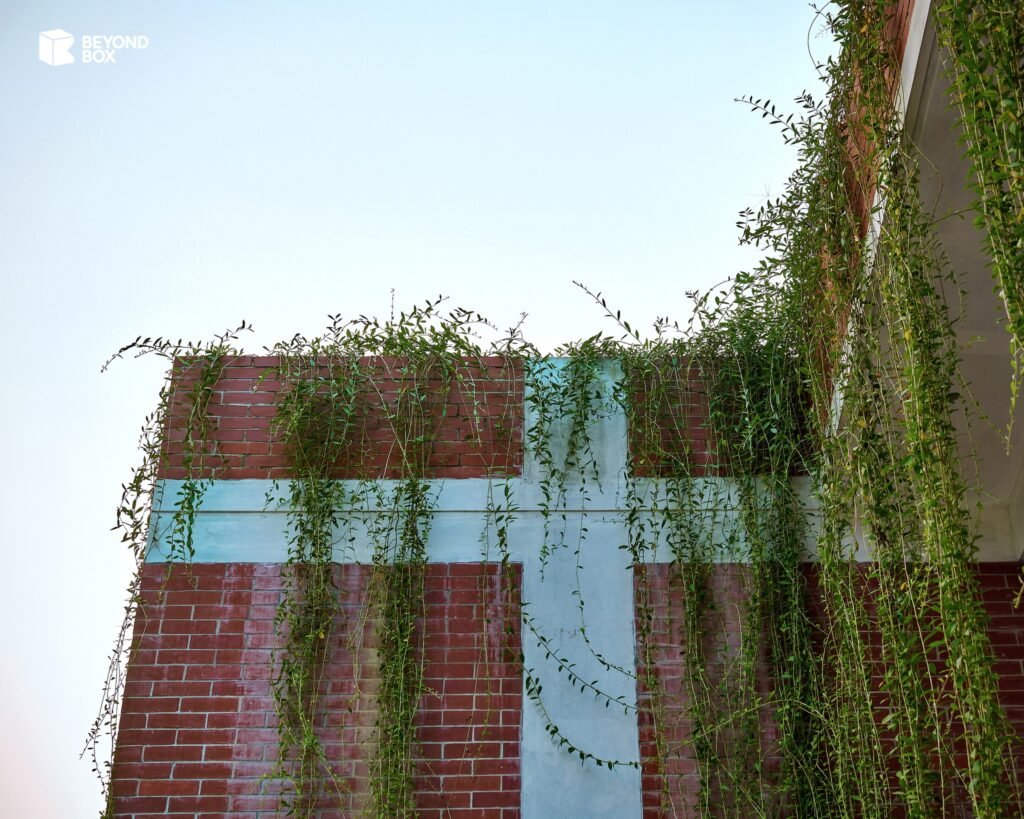 480420365_122193009482147263_4431955957666732807_n Boshurhat Feni Project